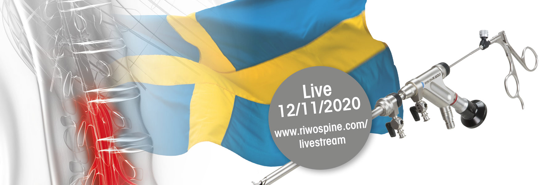 1:a Svenska Webinar om endoskopisk ryggkirurgi